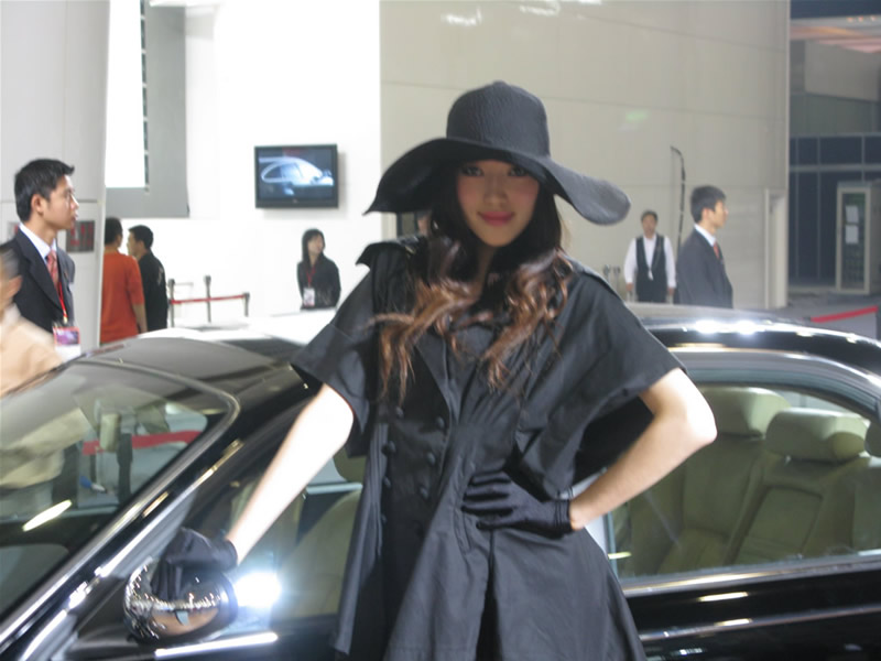 Illustration for article titled The Booth Professionals of the 2008 Guangzhou International Auto Show